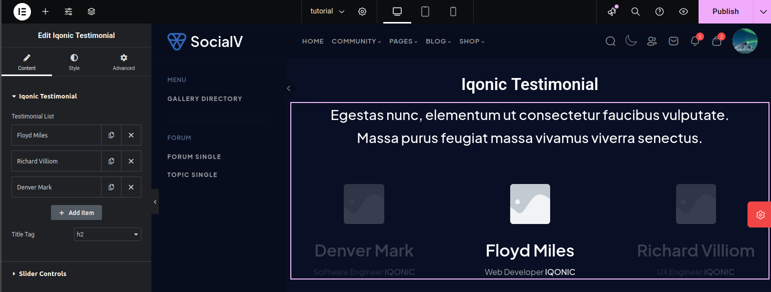 Iqonic Testimonial Widget